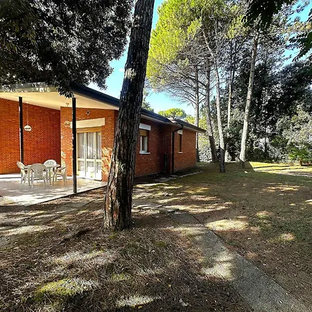 Near In 54736 Appartamento