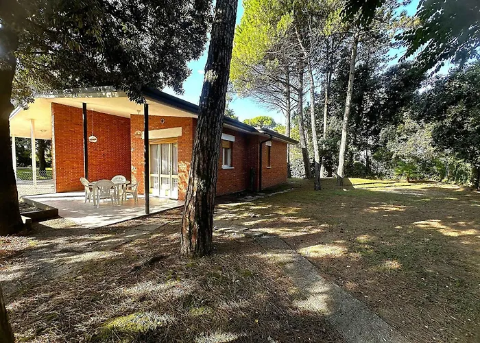 Near In 54736 Appartamento