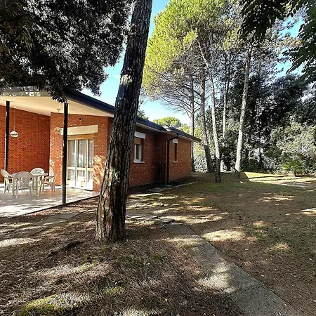 Apartment Near In 54736